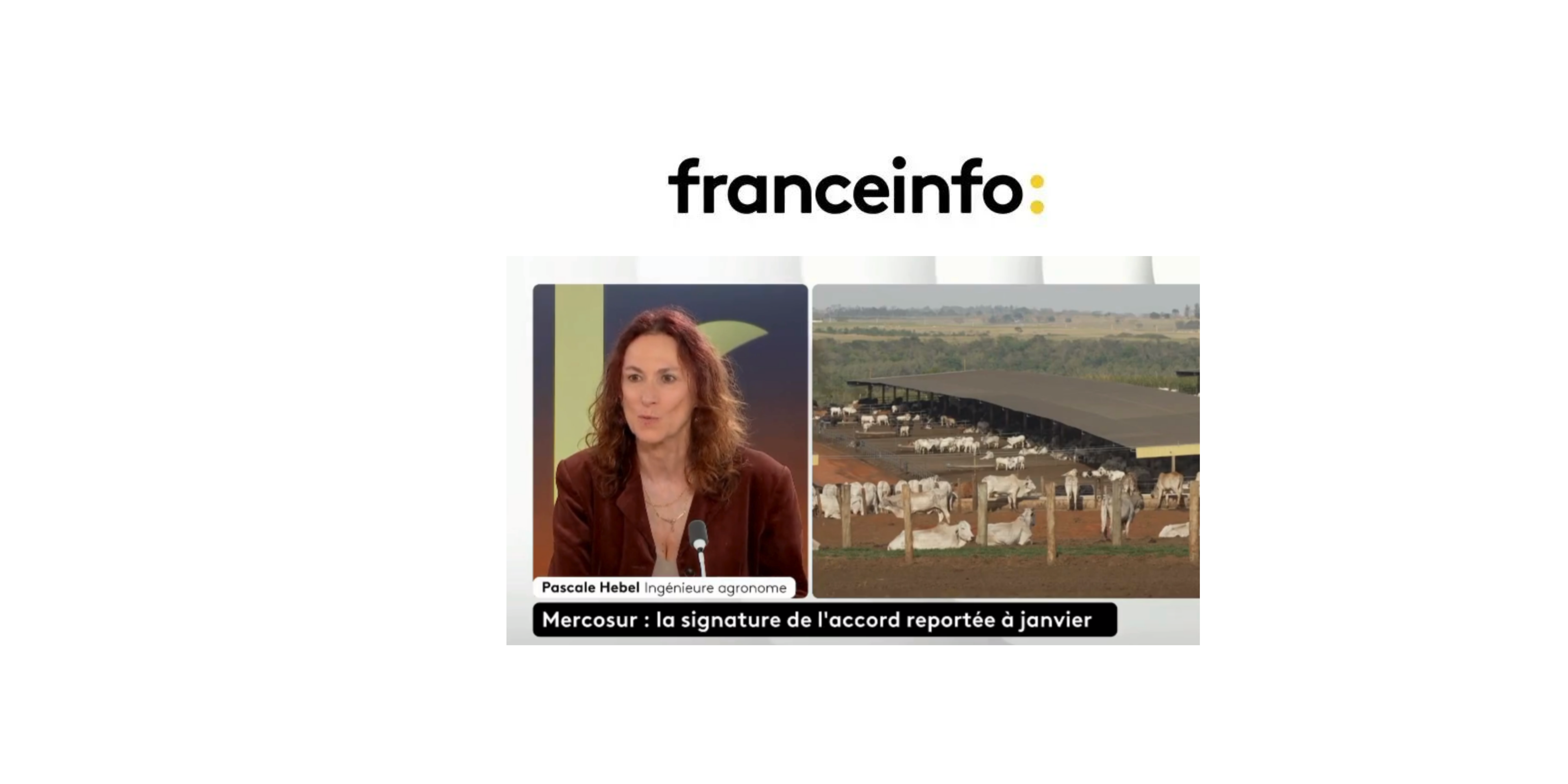 Mercosur France info