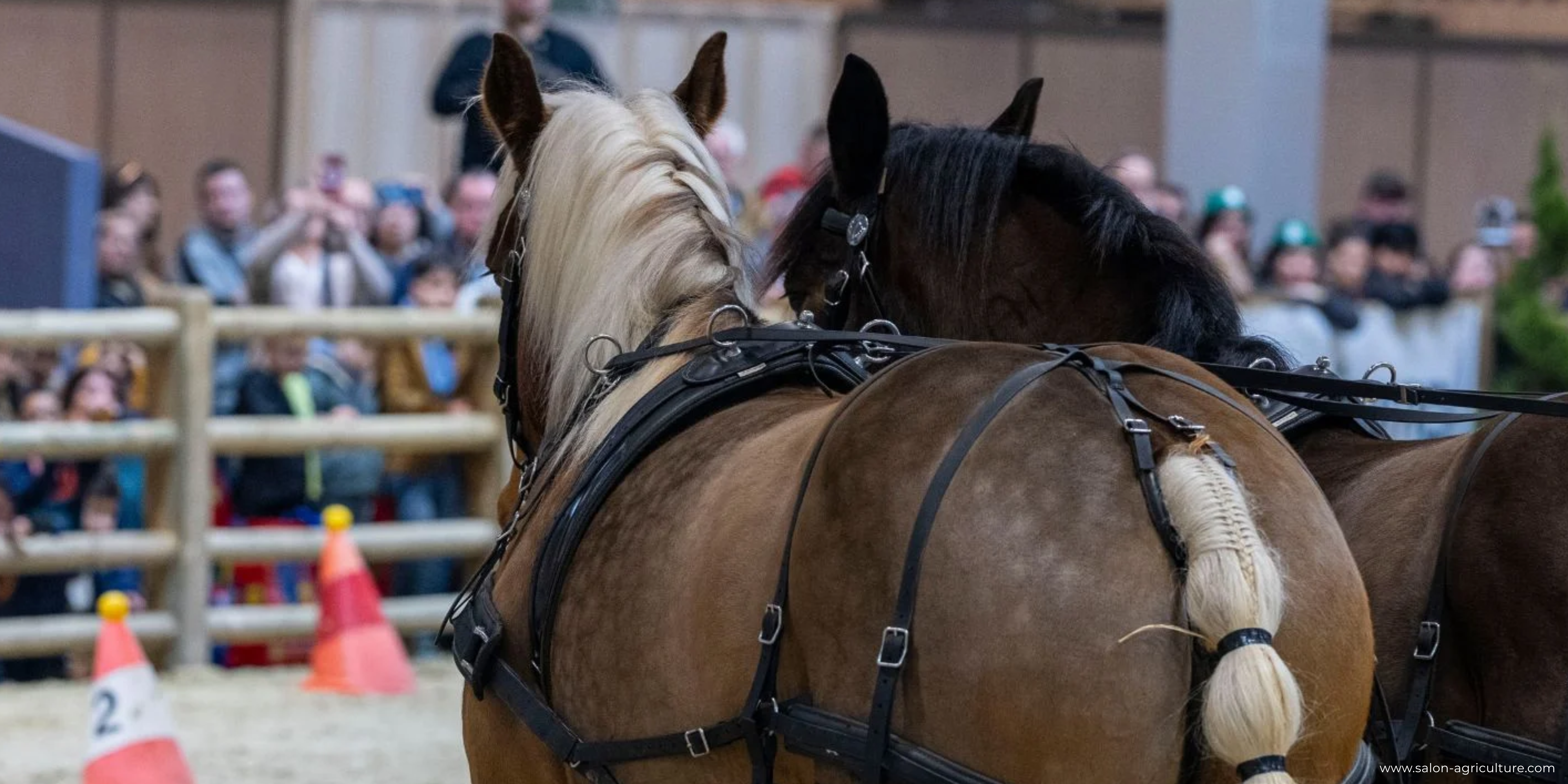 Pascale Hebel salon international de l'agriculture